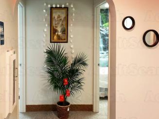 Mei mei Asian spa