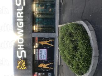 Pure Gold Showgirls and Adult Store