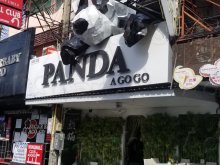 Panda A Go Go