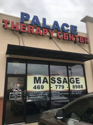 Palace Therapy