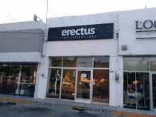 Erectus Erotic Boutique