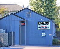 Pegasus Adult Media Center