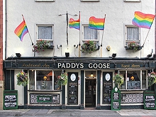 Paddy's Goose 