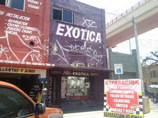 Exótica XTC