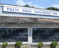 Palm Tree Tanning Spa