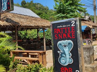 Rattle Snake Bar