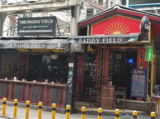 Paddy Field
